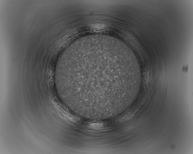 X0000115440653200911181524