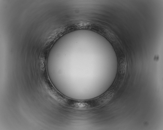 X0000115440654200911181524