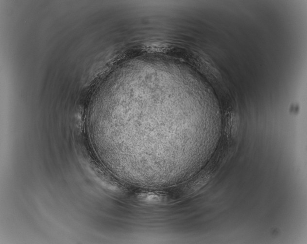 X0000115440655200911181524