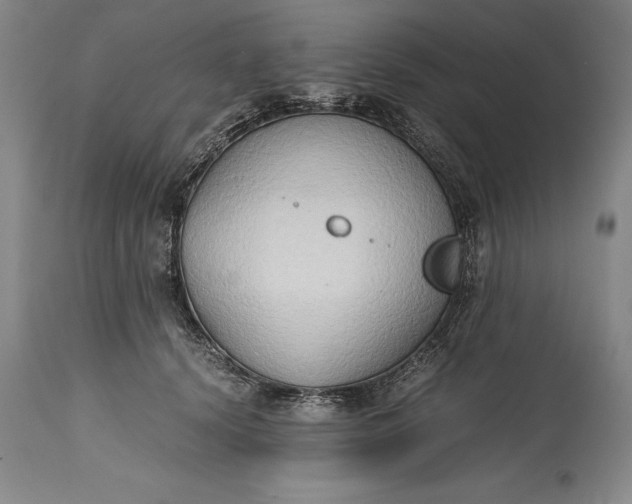 X0000115440656200911181524