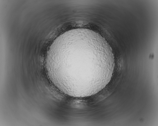 X0000115440657200911181524