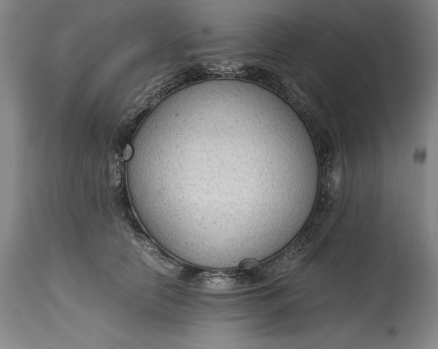 X0000115440658200911181524