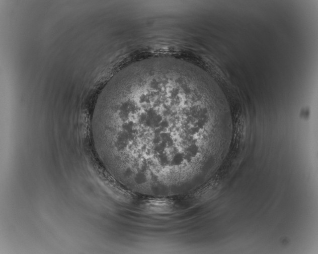 X0000115440659200911181524