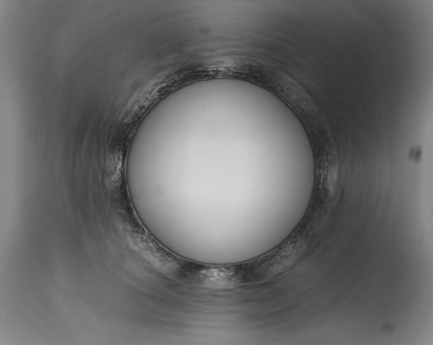 X0000115440660200911181524