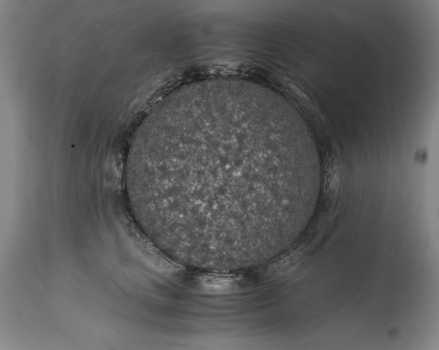 X0000115440661200911181524