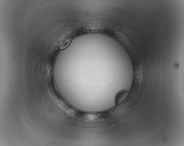 X0000115440662200911181524