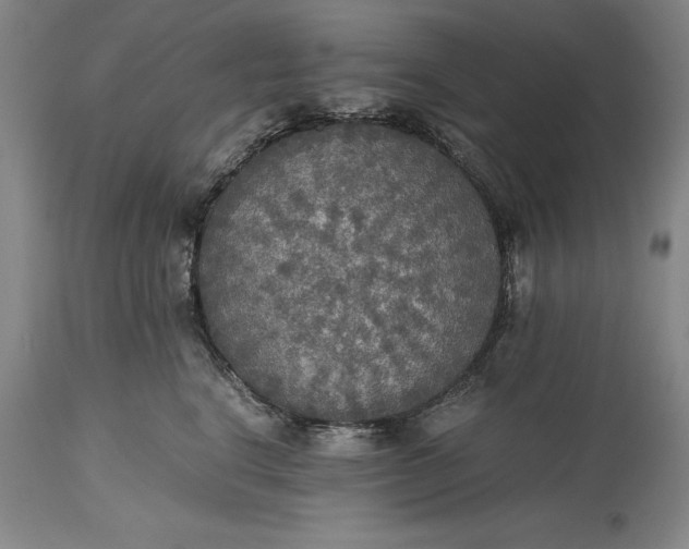X0000115440664200911181524