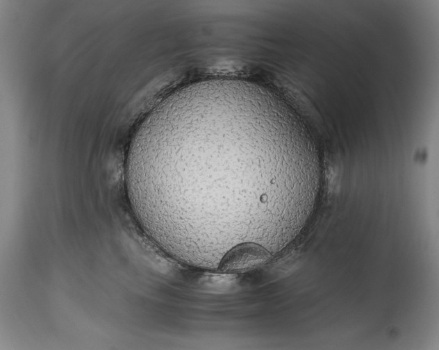 X0000115440665200911181524