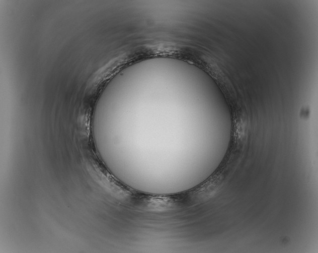 X0000115440666200911181524