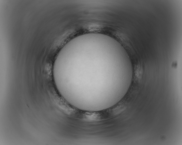 X0000115440667200911181524