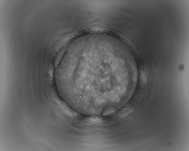 X0000115440668200911181524
