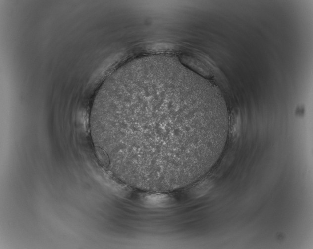 X0000115440669200911181524