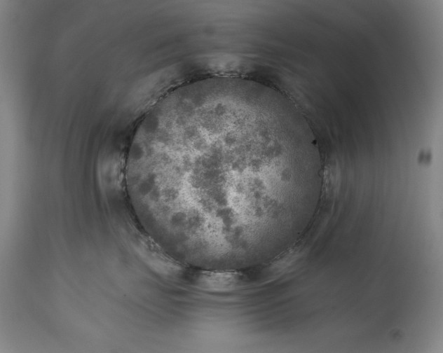 X0000115440671200911181524