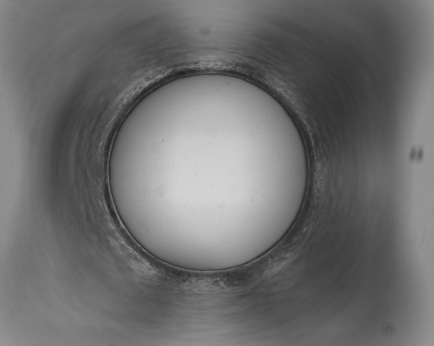 X0000115440673200911181524