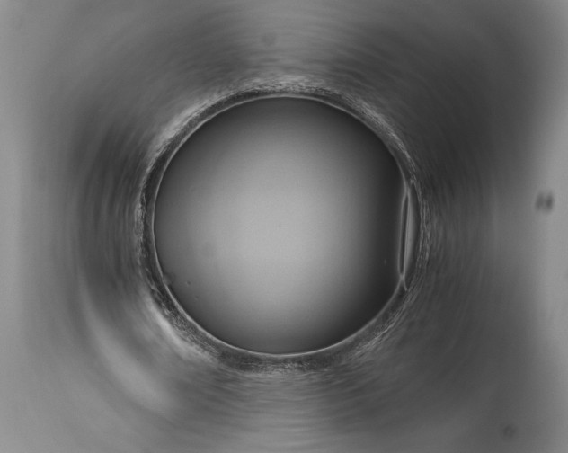X0000115440674200911181524