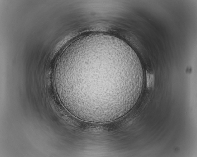 X0000115440675200911181524