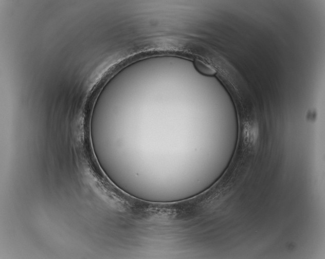 X0000115440676200911181524
