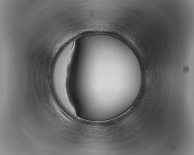 X0000115440677200911181524