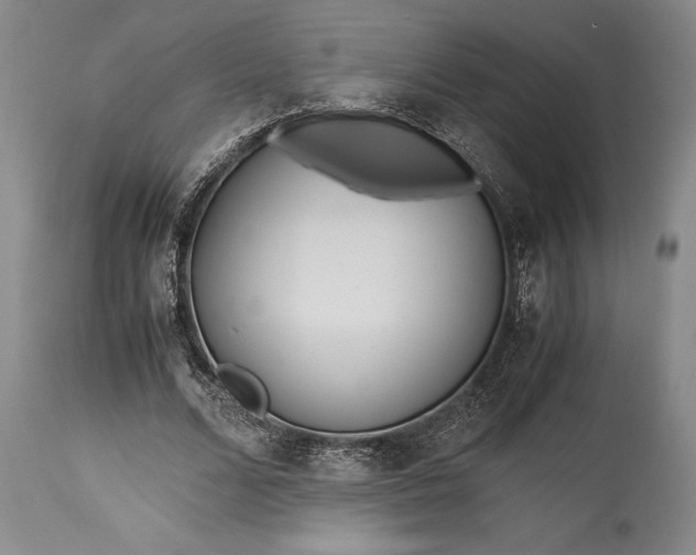 X0000115440680200911181524