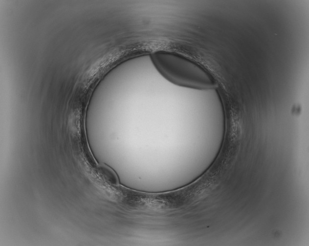 X0000115440681200911181524