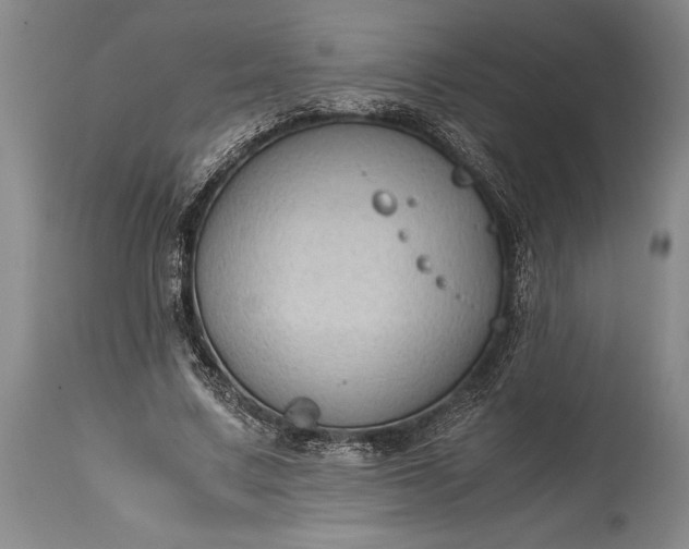X0000115440683200911181524
