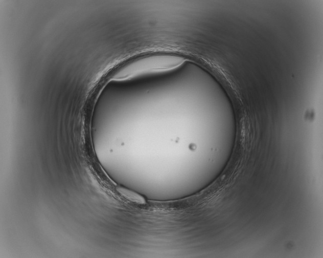 X0000115440684200911181524