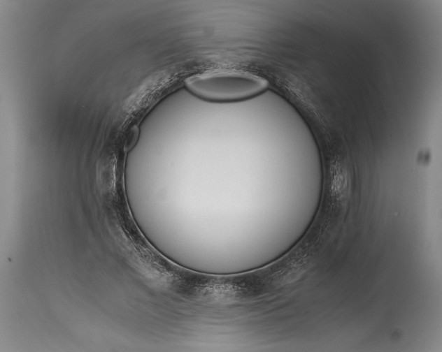 X0000115440685200911181524