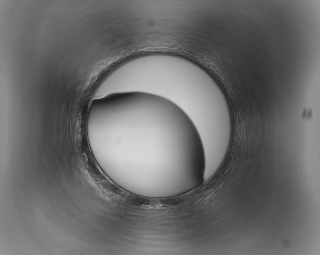X0000115440688200911181524