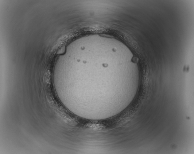 X0000115440689200911181524