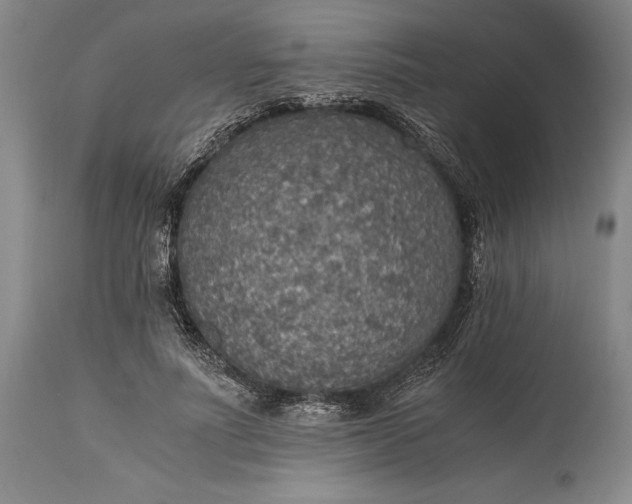 X0000115440691200911181523