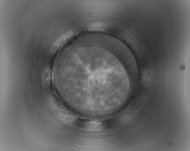 X0000115440692200911181523