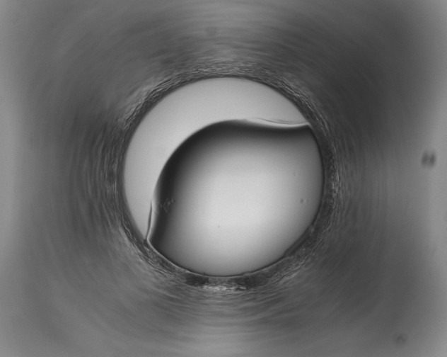 X0000115440693200911181523