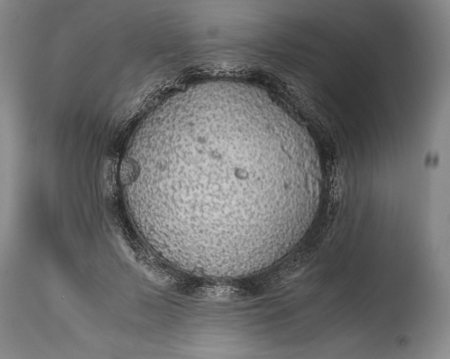 X0000115440695200911181523