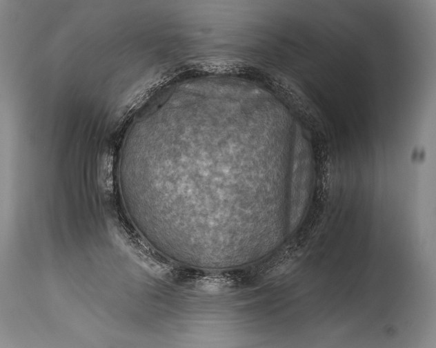 X0000115440696200911181523
