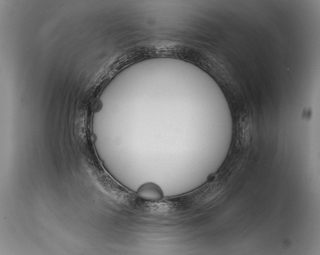 X0000115440698200911181523
