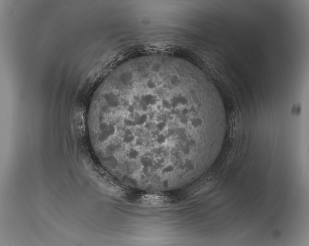 X0000115440699200911181523