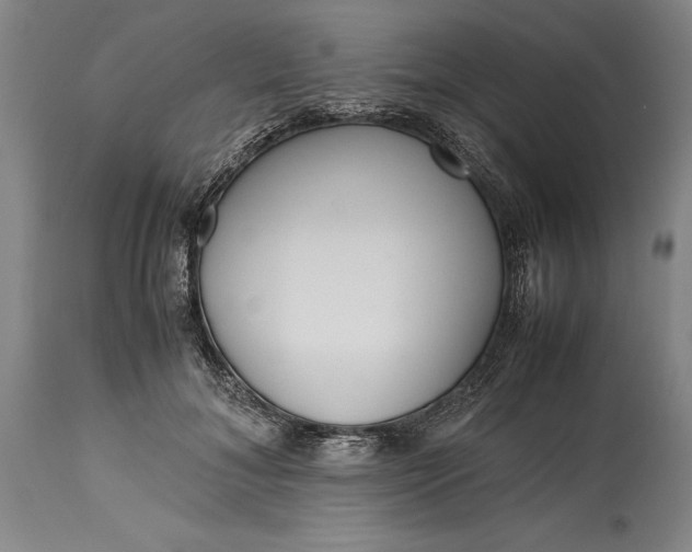 X0000115440700200911181523