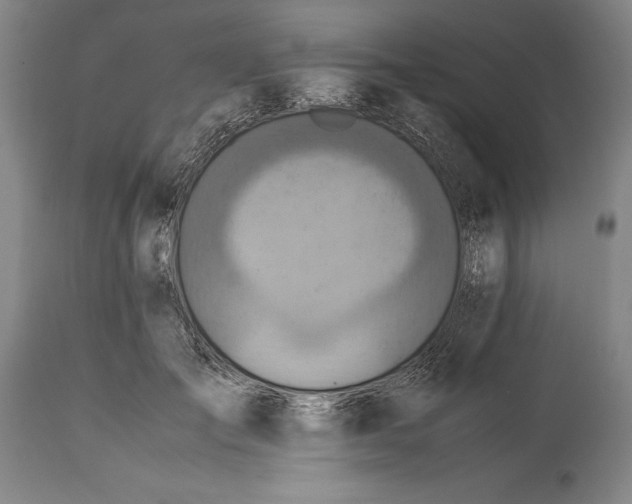 X0000115440701200911181523