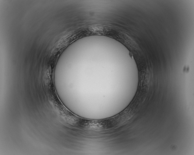 X0000115440702200911181523