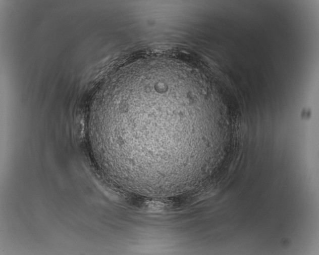 X0000115440703200911181523