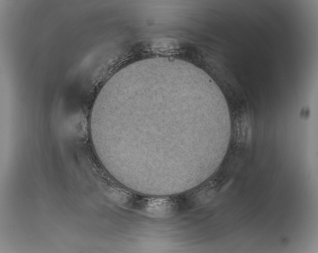X0000115440705200911181523