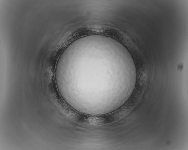 X0000115440707200911181523