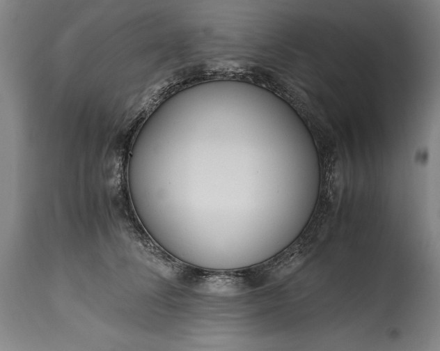 X0000115440708200911181523