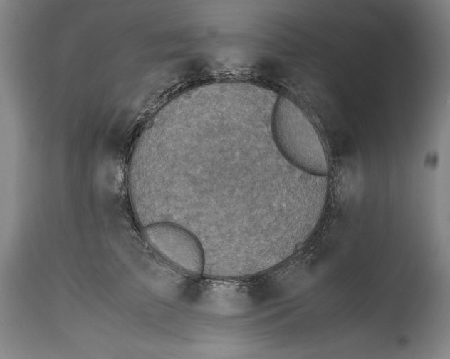 X0000115440709200911181523
