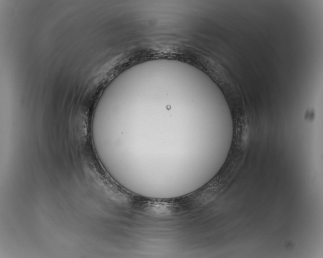 X0000115440710200911181523
