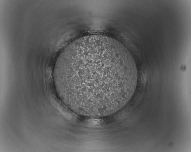 X0000115440711200911181523