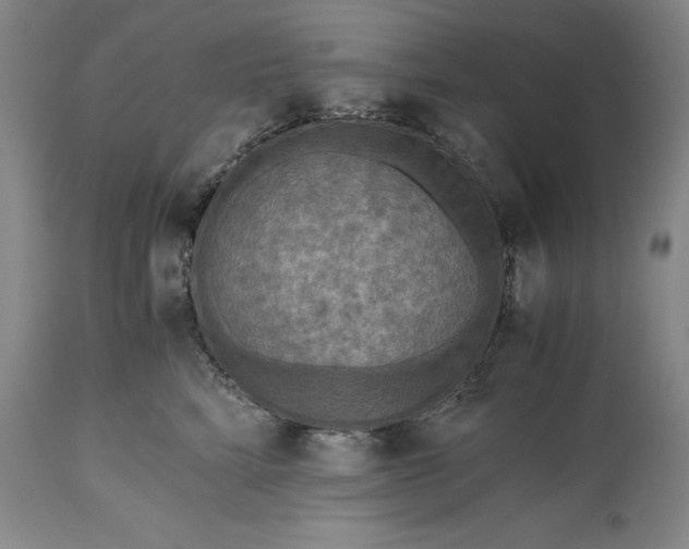 X0000115440712200911181523