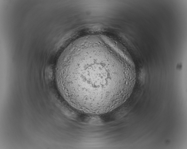 X0000115440715200911181523