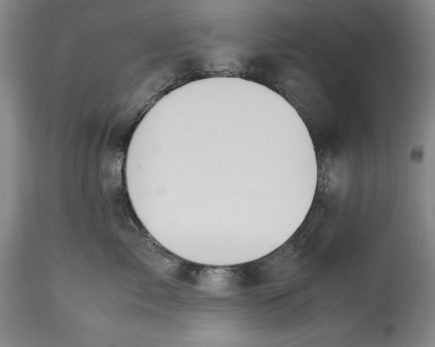 X0000115440717200911181523