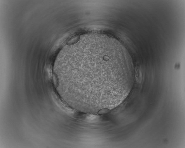 X0000115440718200911181523